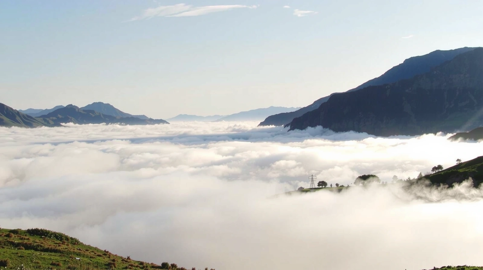 Serene view of nature with soft light